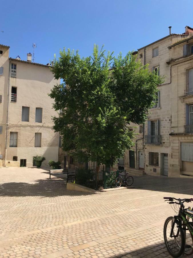 Super Appart T2 - Historic Center - Idealement Situe Montpellier Zewnętrze zdjęcie
